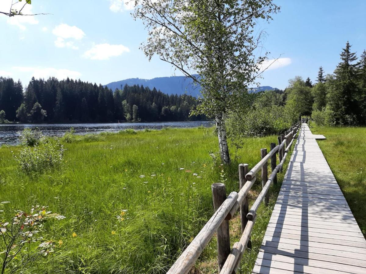 Ferienhaus Kaiserblick - Fewo2 Walchsee Ngoại thất bức ảnh