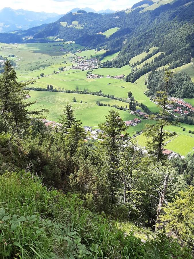 Ferienhaus Kaiserblick - Fewo2 Walchsee Ngoại thất bức ảnh